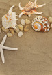 shells and stones on sand shells and stones on sand