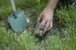 Hand with shovel hiding jar of coins in grass