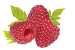 Three raspberries with leaf isolated on white Three raspberries with leaf isolated on white