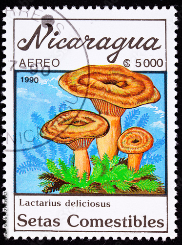 Photo: Nicaragua Stamp Mushroom Saffron Milk Cap Lactarius Deliciosus Nicaragua Stamp Mushroom Saffron Milk Cap Lactarius Deliciosus