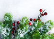 Christmas Tree over Snow