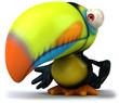 Toucan Toucan