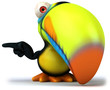 Toucan Toucan