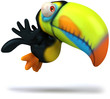 Toucan Toucan