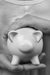 Photo: Money security Money security