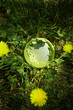 clean nature