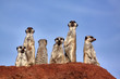 Teamwork! - Nach allen Seiten sichern