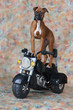 Bikerboxer