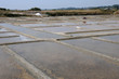 marais salants à Guérande