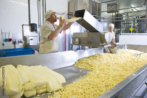 Foto: Cheese maker grating farmhouse cheddar with machine Cheese maker grating farmhouse cheddar with machine