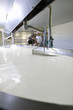Photo: Cheese maker mixing rennet with milk in vat to begin cheddar cheese making process Cheese maker mixing rennet with milk in vat to begin cheddar cheese making process