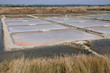 marais salants à Guérande