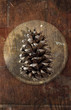 Still life with pine cone