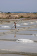 marais salants à Guérande