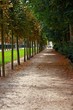 Parc - Urbain - Promenade Parc - Urbain - Promenade