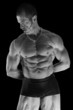 musculature
