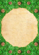 Christmas frame with Pine needles and cones on paper textures Christmas frame with Pine needles and cones on paper textures