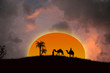 Sunset in the Sahara