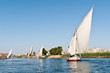 Felucca