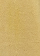 empty cardboard texture
