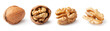 walnut