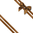 Noeud marron et ruban diagonal Noeud marron et ruban diagonal