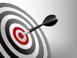 Success Target
