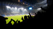 Fans celebrating goal