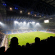 Fans celebrating goal