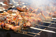 The shish kebab on skewers is fried on a brazier The shish kebab on skewers is fried on a brazier