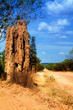 Outback Termitenhügel