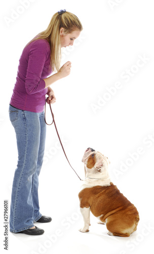 Photo: obedience training obedience training