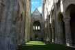 abbaye abbatiale notre dame de jumieges en normandie