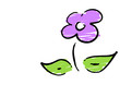 Blume