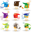 Funny cartoon birds collection