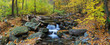 Autumn creek panorama with yellow maple trees