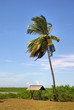 awala-yalimapo