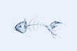 Water Fishbone