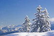 Winterzauber