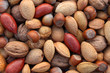 Fruits à coques