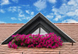 The roof and the flowers, Hungary