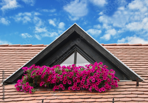 Photo: The roof and the flowers, Hungary The roof and the flowers, Hungary