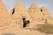 Beehive houses Beehive houses