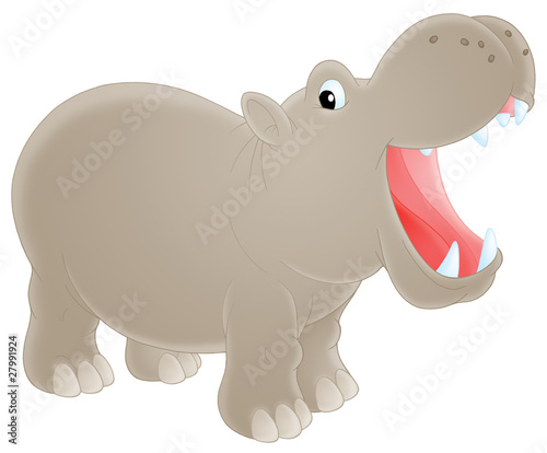 Illustration: Hippopotamus Hippopotamus