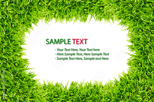 Photo: grass frame isolated on white background grass frame isolated on white background