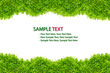 grass frame isolated on white background