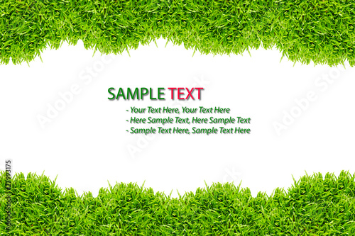 Photo: grass frame isolated on white background grass frame isolated on white background