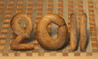 2011 new year