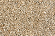 Wood shavings