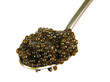 black caviar on the spoon